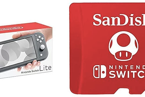 Nintendo Switch Lite - Gray